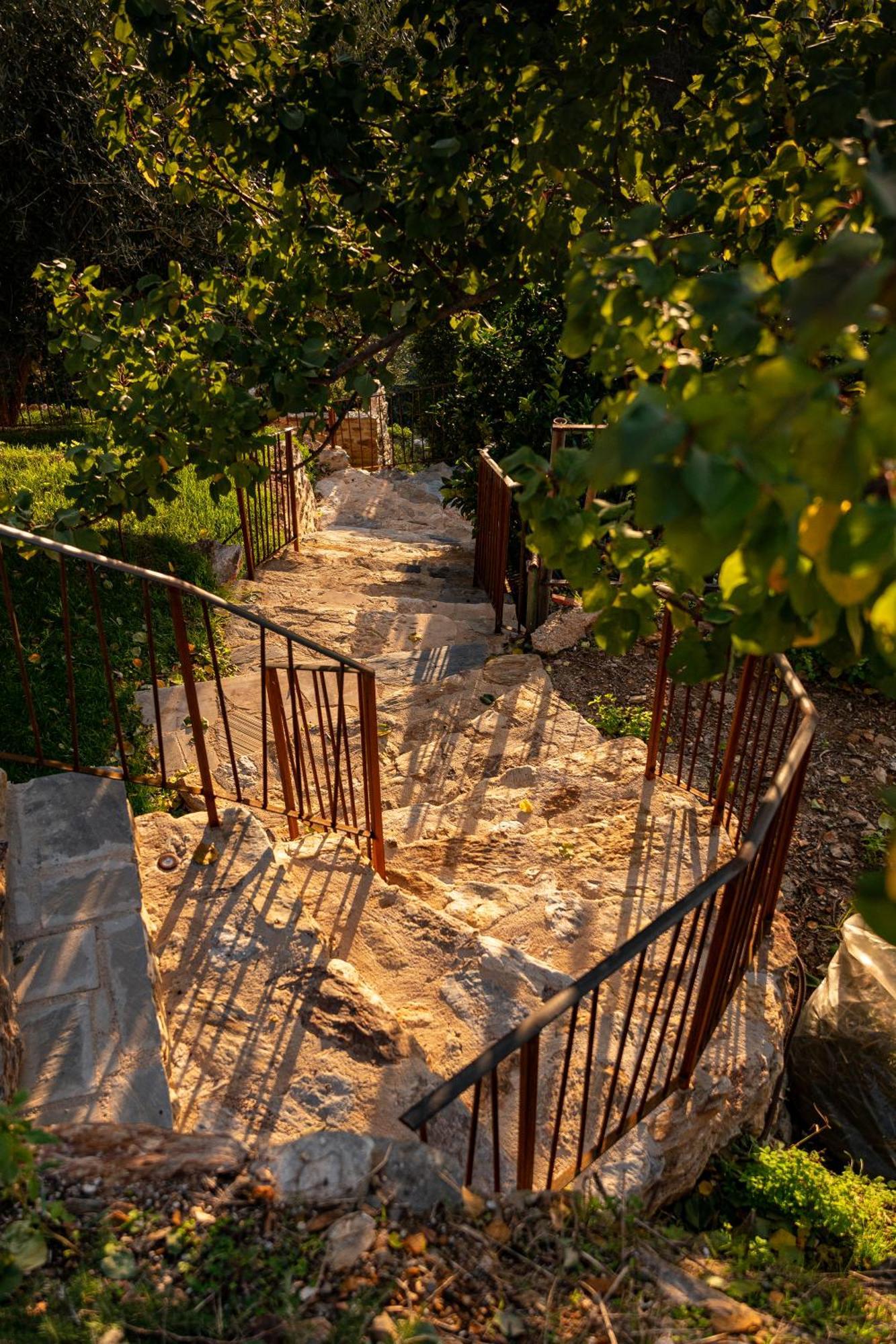 Tenuta Zamparina Montignoso Esterno foto