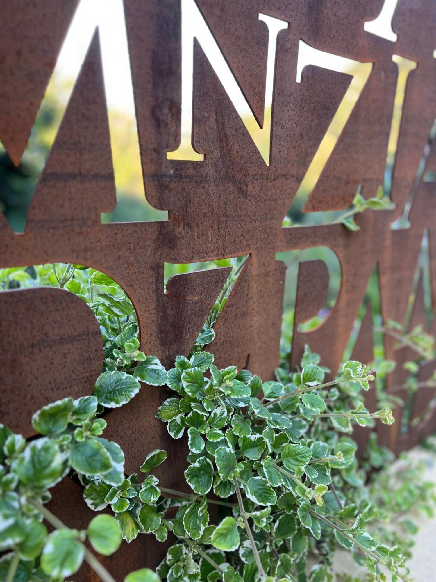 Tenuta Zamparina Montignoso Esterno foto